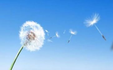 空气污染的调查报告6篇