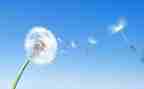空气污染的调查报告6篇