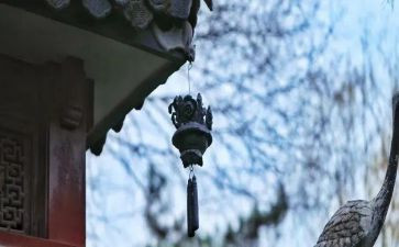 苦与乐演讲稿800字推荐7篇