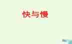 快与慢读书心得5篇