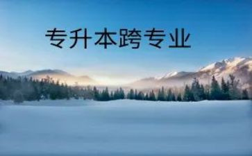 跨专业培训心得体会最新6篇