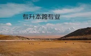 跨专业实训工作总结6篇