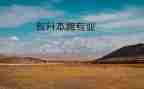 跨专业实训工作总结6篇