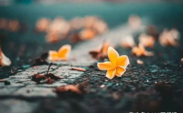 我愧疚的作文600字5篇