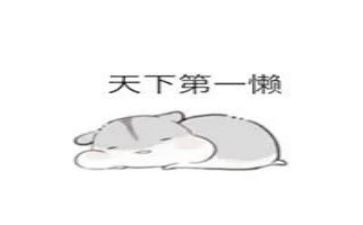 我的懒作文600字优秀5篇