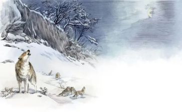 狼王梦的心得体会优质6篇