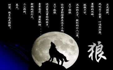 狼王梦的心得体会8篇