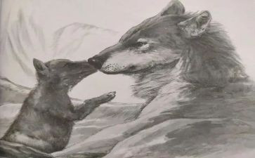 狼王梦读后感优质5篇