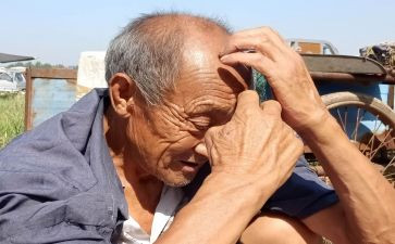 老人院实践报告7篇