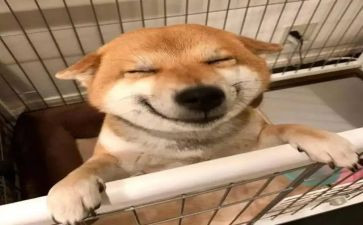 快乐成长心得体会8篇