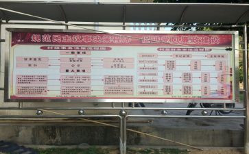 村两委员个人述职报告优秀8篇