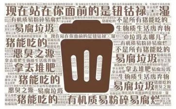 生活垃圾心得体会6篇