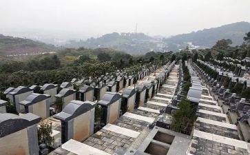 清明烈士陵园扫墓心得体会8篇