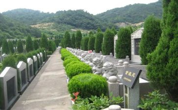 清明节祭扫烈士陵园活动总结7篇