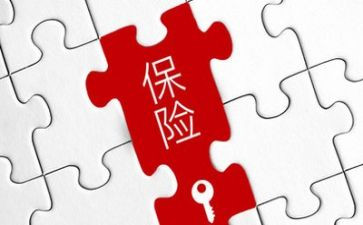 保险理赔个人总结5篇