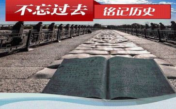 团的历史心得体会6篇