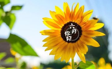 六月份活动总结5篇