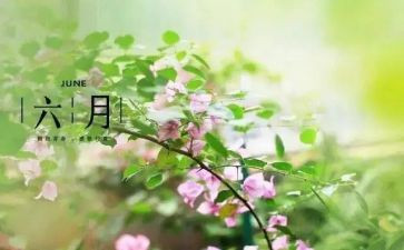 六月份小班工作计划7篇