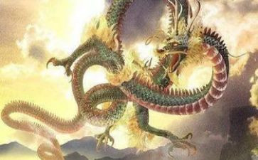 旱龙舟活动总结8篇
