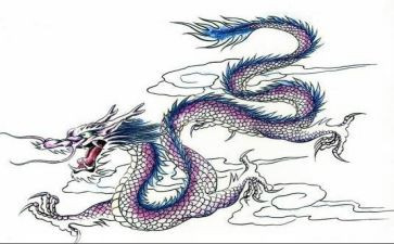 医生龙述职报告优秀5篇
