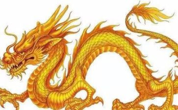 大龙湖作文300字6篇