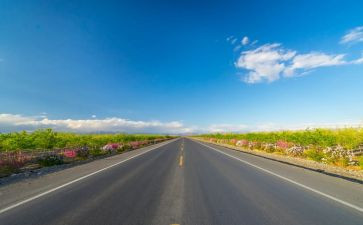 生命的路的读后感参考8篇