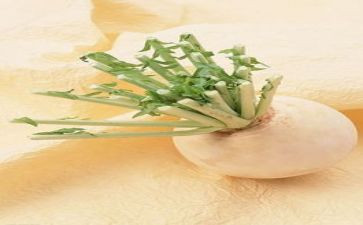 萝卜房教案精选5篇