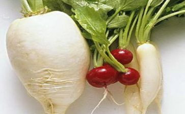 萝卜房教案最新7篇