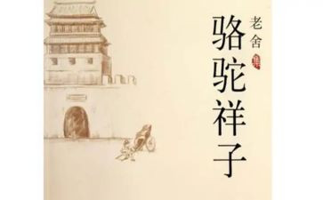 骆驼湾心得体会模板8篇