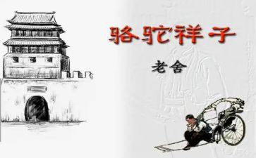 骆驼读后感400字推荐6篇