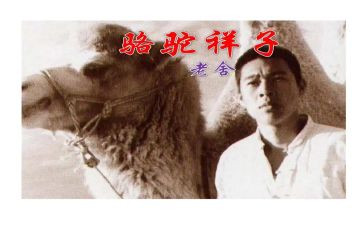读骆驼祥子的心得体会800字5篇