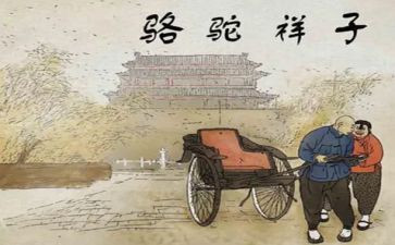 骆驼祥子的心得体会7篇