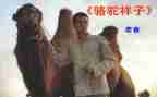 骆驼湾心得体会8篇
