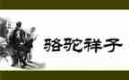 读骆驼祥子的心得体会600字5篇