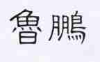 鲁鹏年终总结报告6篇