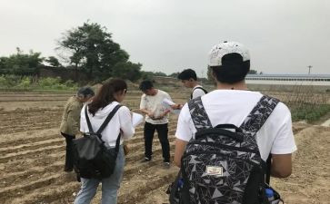 鲁商调研报告模板6篇