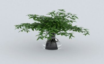 承绿色发展演讲稿5篇
