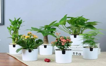 绿化科述职报告6篇