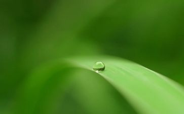 低碳绿色出行倡议书推荐6篇