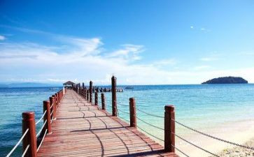 2024旅游调研报告5篇