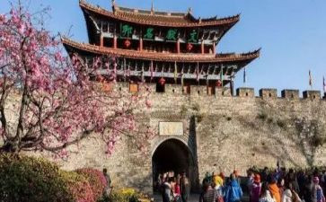 旅游活动总结范文7篇