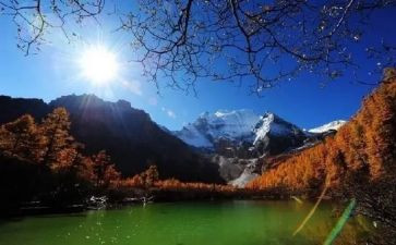 旅游情况的调研报告8篇