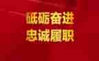履职总结报告6篇