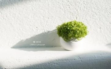 慢病工作月工作总结7篇