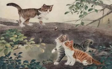 初一猫读后感300字6篇