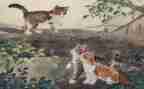 听熊猫猫的作文6篇
