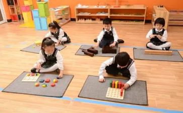 蒙氏教学心得体会范文模板8篇