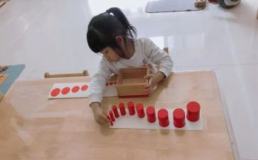 蒙氏工作计划与总结优秀8篇