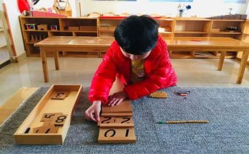 幼儿园蒙氏小班教学计划优质6篇