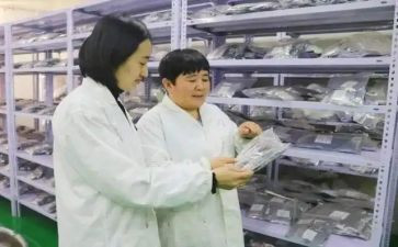 蒙医调研报告7篇